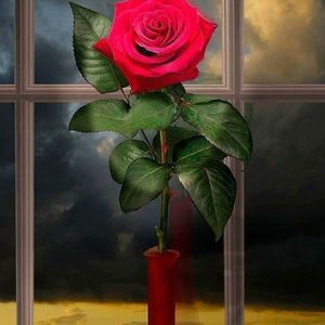 Meet your Posher, Elvia